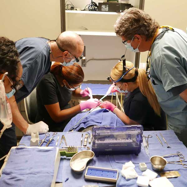 Implant Dentistry Courses